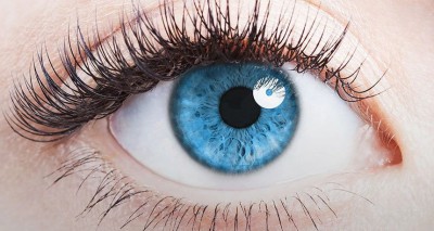 与痴呆症高风险相关的常见眼部疾病