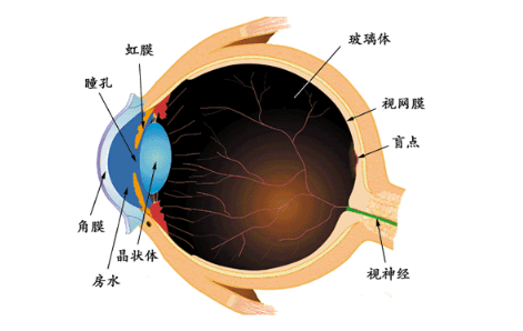 验光师培训