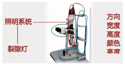 深圳视普泰眼视光培训学校：裂隙灯弥散投照法规范操作