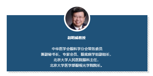 北京大学人民医院眼科主任赵明威教授：儿童近视防治核心是“不进展”