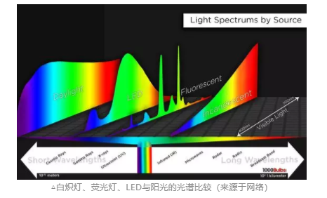 探讨青少年近视与电子屏幕关系，近视关联强因素详细分析