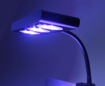【眼视光观点】LED灯到底该如何使用？蓝光对眼睛有害吗？