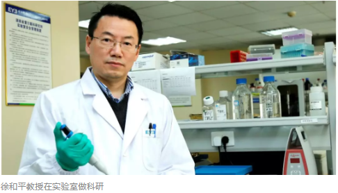 首位华人眼科学家参与欧盟地平线2020计划，有望填补视网膜疤痕治疗空白