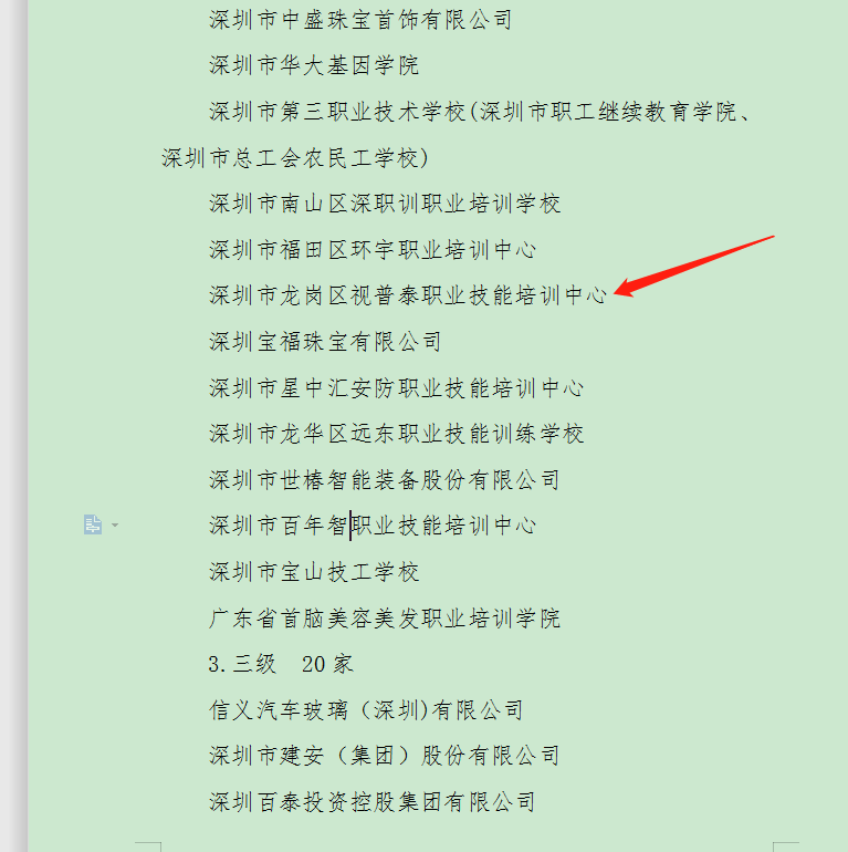 视普泰成为深圳市高技能人才培训基地重点建设项目资助单位